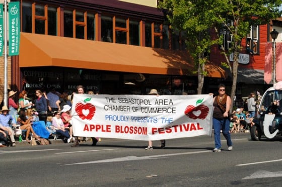 a1sx2_Thumbnail1_appleBlossom.jpg